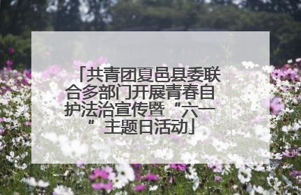 共青团夏邑县委联合多部门开展青春自护法治宣传暨“六一”主题日活动