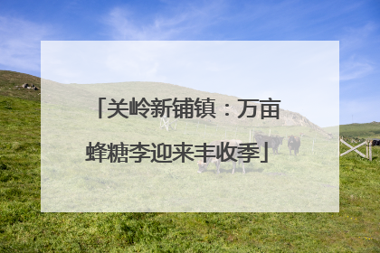 关岭新铺镇：万亩蜂糖李迎来丰收季