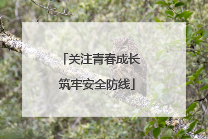 关注青春成长 筑牢安全防线