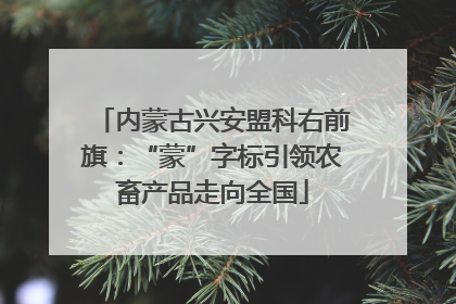 内蒙古兴安盟科右前旗：“蒙”字标引领农畜产品走向全国