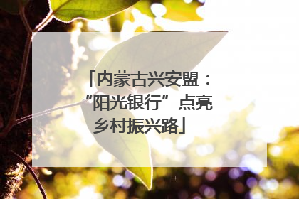 内蒙古兴安盟：“阳光银行”点亮乡村振兴路