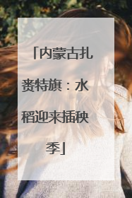 内蒙古扎赉特旗：水稻迎来插秧季