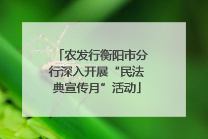 农发行衡阳市分行深入开展“民法典宣传月”活动