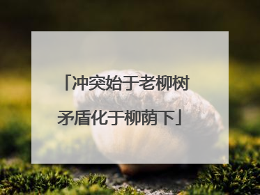 冲突始于老柳树 矛盾化于柳荫下
