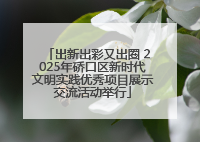 出新出彩又出圈 2025年硚口区新时代文明实践优秀项目展示交流活动举行