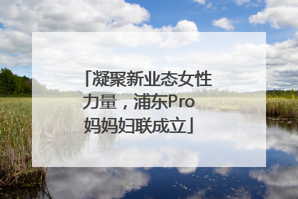 凝聚新业态女性力量，浦东Pro妈妈妇联成立
