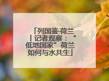 列国鉴·荷兰丨记者观察：“低地国家”荷兰如何与水共生