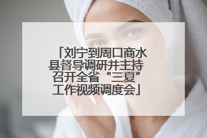 刘宁到周口商水县督导调研并主持召开全省“三夏”工作视频调度会