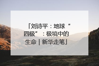 刘诗平：地球“四极”：极境中的生命｜新华走笔