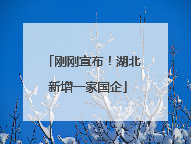 刚刚宣布！湖北新增一家国企