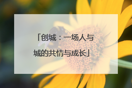 创城：一场人与城的共情与成长