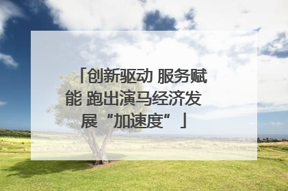 创新驱动 服务赋能 跑出演马经济发展“加速度”