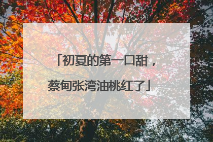 初夏的第一口甜，蔡甸张湾油桃红了