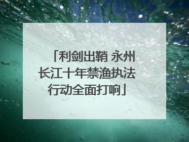 利剑出鞘 永州长江十年禁渔执法行动全面打响