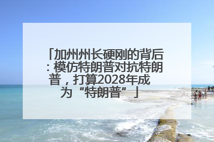 加州州长硬刚的背后：模仿特朗普对抗特朗普，打算2028年成为“特朗普”
