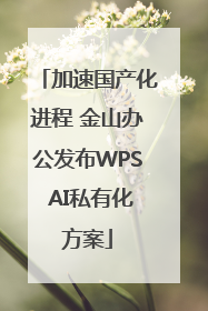 加速国产化进程 金山办公发布WPS AI私有化方案