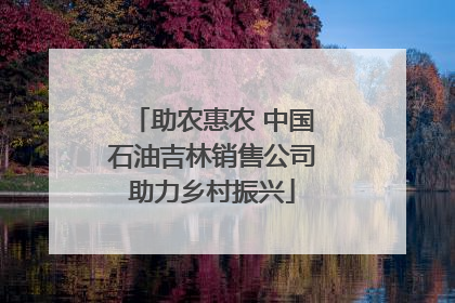 助农惠农 中国石油吉林销售公司助力乡村振兴