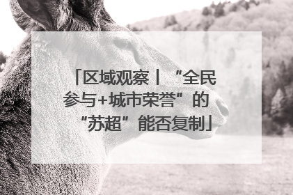 区域观察丨“全民参与+城市荣誉”的“苏超”能否复制