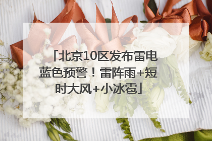 北京10区发布雷电蓝色预警！雷阵雨+短时大风+小冰雹