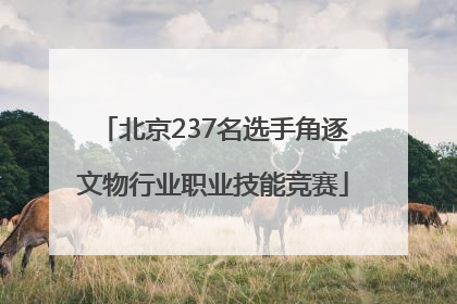 北京237名选手角逐文物行业职业技能竞赛