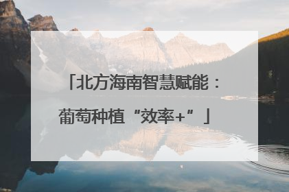 北方海南智慧赋能：葡萄种植“效率+”