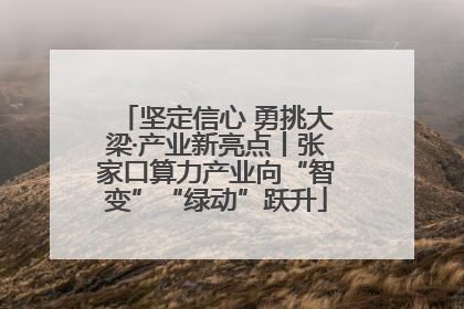 坚定信心 勇挑大梁·产业新亮点丨张家口算力产业向“智变”“绿动”跃升