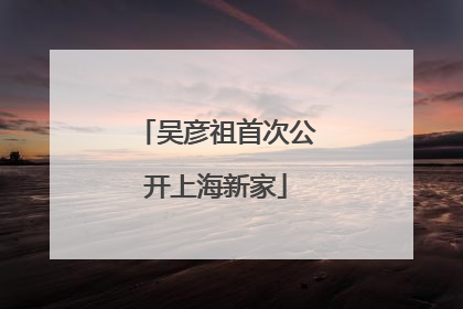 吴彦祖首次公开上海新家