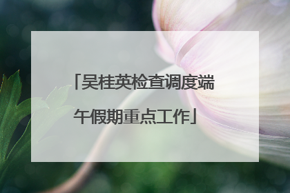 吴桂英检查调度端午假期重点工作