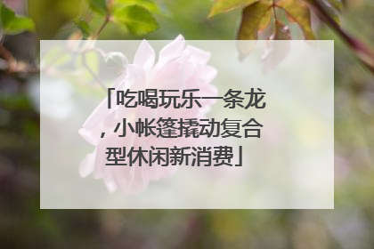 吃喝玩乐一条龙，小帐篷撬动复合型休闲新消费