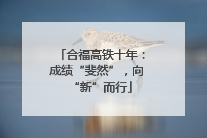 合福高铁十年：成绩“斐然”，向“新”而行