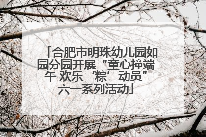 合肥市明珠幼儿园如园分园开展“童心撞端午 欢乐‘粽’动员”六一系列活动