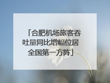 合肥机场旅客吞吐量同比增幅位居全国第一方阵