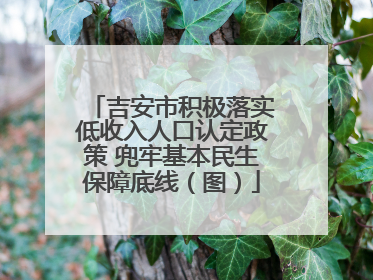 吉安市积极落实低收入人口认定政策 兜牢基本民生保障底线（图）