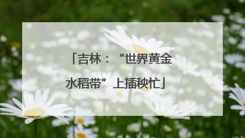 吉林：“世界黄金水稻带”上插秧忙