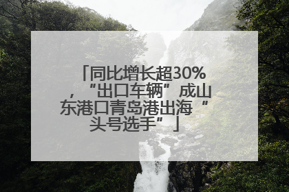同比增长超30%，“出口车辆”成山东港口青岛港出海“头号选手”