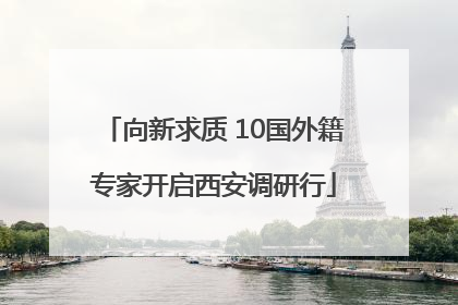 向新求质 10国外籍专家开启西安调研行