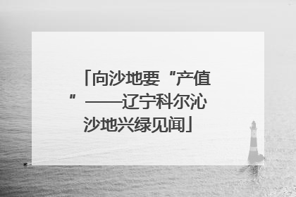 向沙地要“产值”——辽宁科尔沁沙地兴绿见闻