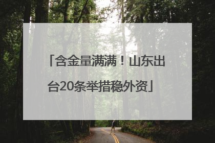 含金量满满！山东出台20条举措稳外资
