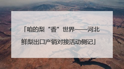 咱的梨“香”世界——河北鲜梨出口产销对接活动侧记