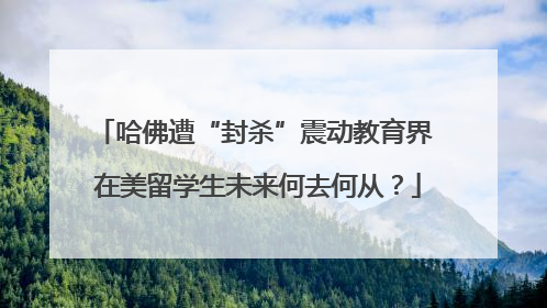 哈佛遭“封杀”震动教育界 在美留学生未来何去何从？