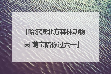 哈尔滨北方森林动物园 萌宝陪你过六一