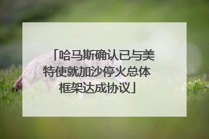 哈马斯确认已与美特使就加沙停火总体框架达成协议