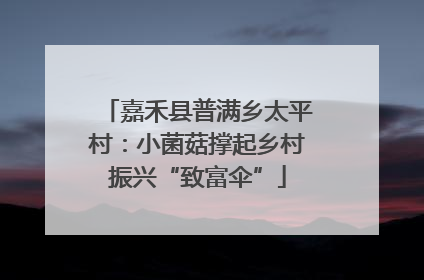嘉禾县普满乡太平村：小菌菇撑起乡村振兴“致富伞”