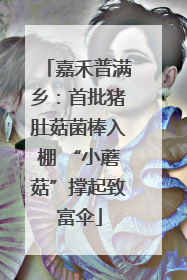 嘉禾普满乡：首批猪肚菇菌棒入棚 “小蘑菇”撑起致富伞