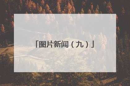 图片新闻（九）