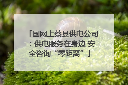 国网上蔡县供电公司：供电服务在身边 安全咨询“零距离”