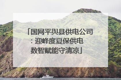 国网平舆县供电公司：迎峰度夏保供电  数智赋能守清凉