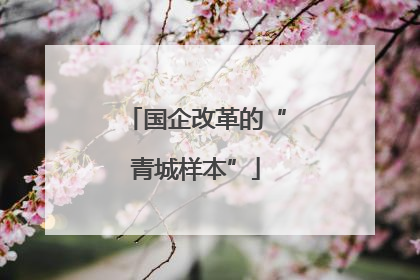 国企改革的“青城样本”
