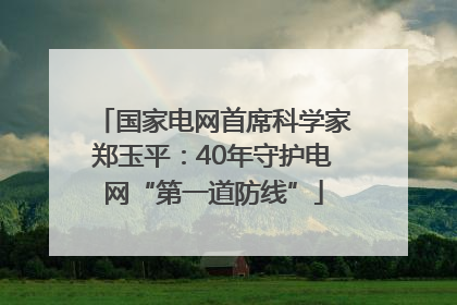 国家电网首席科学家郑玉平：40年守护电网“第一道防线”