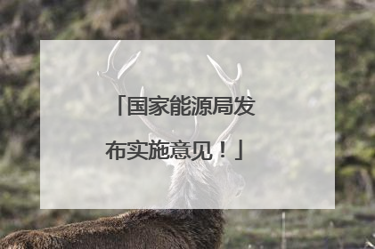 国家能源局发布实施意见！